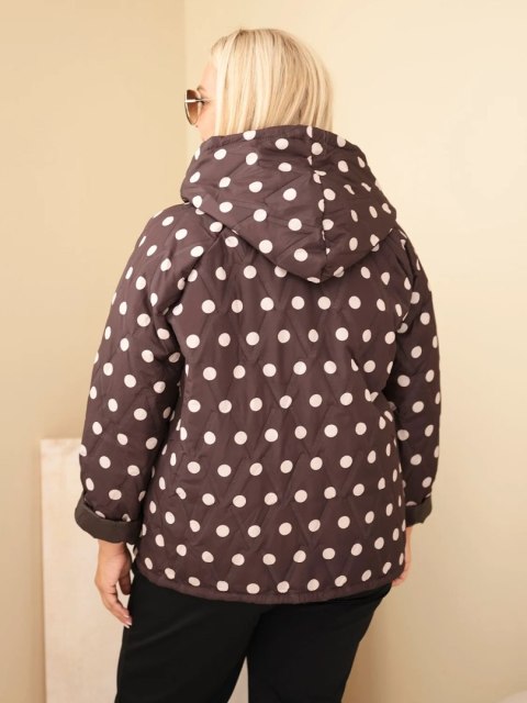 Kurtka damska Plus Size w grochy z kapturem brązowa